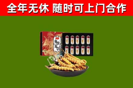 津南回收冬虫夏草价格